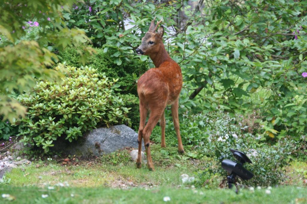Torrdarach House Bed & Breakfast Pitlochry Bagian luar foto